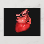 人間の概念図3.人間のハートの概念 ポストカード (正面)