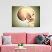 人間の概念図、スカル、側面 キャンバスプリント (インサイチュ (リビング))