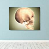 人間の概念図、スカル、側面 キャンバスプリント (インサイチュ (ウッドフロア))