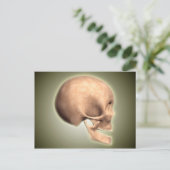 人間の概念図、スカル、側面 ポストカード (スタンド正面)