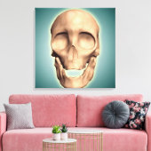 人間の概念図、スカル、正面図 キャンバスプリント (インサイチュ (リビング))