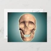 人間の概念図、スカル、正面図 ポストカード (正面/裏面)