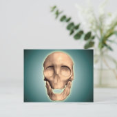 人間の概念図、スカル、正面図 ポストカード (スタンド正面)