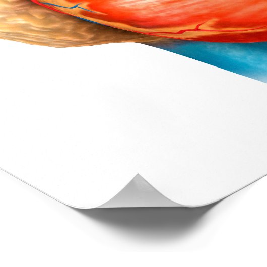 人間の正面ハート ポスター (角)