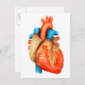 人間の正面ハート ポストカード (正面/裏面)