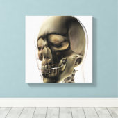 人間の歯と歯の3次元スカル キャンバスプリント (インサイチュ (ウッドフロア))