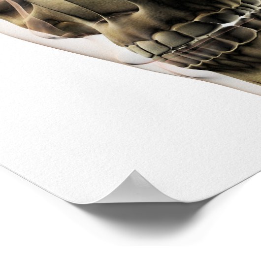 人間の歯と歯の3次元スカル ポスター (角)