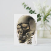 人間の歯と歯の3次元スカル ポストカード (スタンド正面)