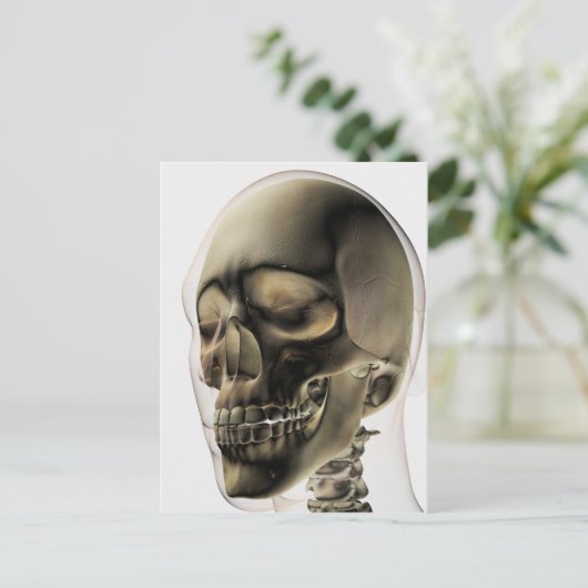 人間の歯と歯の3次元スカル ポストカード (スタンド正面)