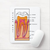 人間の歯の断面図表 マウスパッド (マウス)