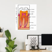 人間の歯の断面図 ポスター (ホームオフィス)