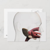 人間の消化イラストレーション ポストカード (正面/裏面)