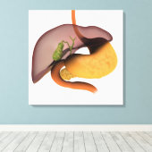 人間の消化器系の概念像1 キャンバスプリント (インサイチュ (ウッドフロア))