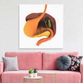 人間の消化器系の概念図4 キャンバスプリント (インサイチュ (リビング))