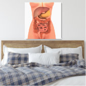 人間の消化器系の概念図5 キャンバスプリント (インサイチュ (寝室))