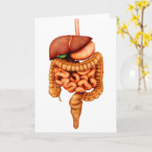 人間の消化器系の解剖学、前面 カード (黄色い花)