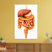 人間の消化器系の解剖学、前面 キャンバスプリント (インサイチュ (リビング))