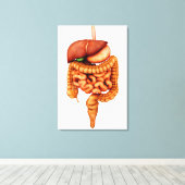 人間の消化器系の解剖学、前面 キャンバスプリント (インサイチュ (ウッドフロア))