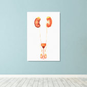 人間の男性泌尿器系の解剖学、前面 キャンバスプリント (インサイチュ (ウッドフロア))