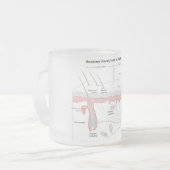 人間の皮の図表の感覚受容器 フロストグラスマグカップ (正面左)
