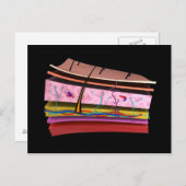 人間の皮膚の層の概念図2 ポストカード (正面/裏面)