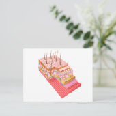 人間の皮膚の解剖学 ポストカード (スタンド正面)