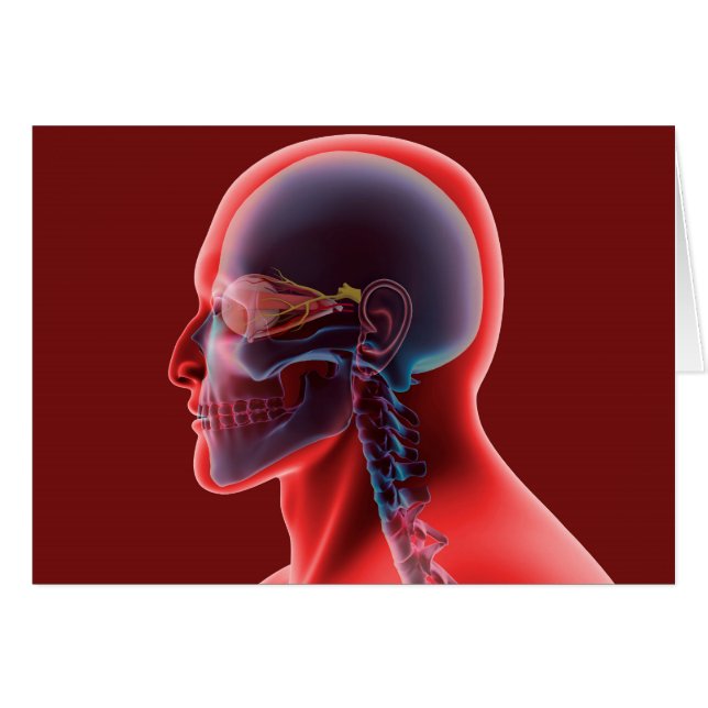 人間の目とスカルの概念像 (正面横)