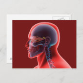 人間の目とスカルの概念像 ポストカード (正面/裏面)