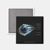 人間の目のすべての筋肉のレイアウト マグネット (正面/裏面)