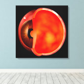 人間の目の断面概念図1 キャンバスプリント (インサイチュ (ウッドフロア))