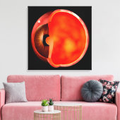 人間の目の断面概念図1 キャンバスプリント (インサイチュ (リビング))