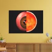 人間の目の断面概念図3 キャンバスプリント (インサイチュ (リビング))