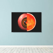 人間の目の断面概念図3 キャンバスプリント (インサイチュ (ウッドフロア))