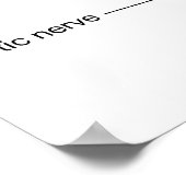 人間の目の概念図 ポスター (角)