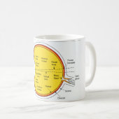 人間の目の球の解剖図表 コーヒーマグカップ (正面右)