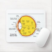 人間の目の球の解剖図表 マウスパッド (マウス)