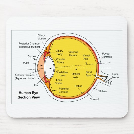 人間の目の球の解剖図表 マウスパッド (正面)