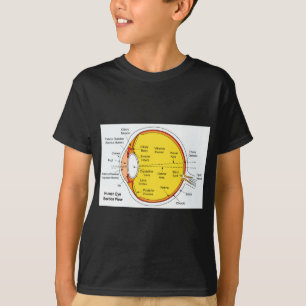 人間の目の球の解剖図表 Tシャツ