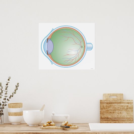 人間の目の解剖学 ポスター (キッチン)