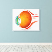 人間の目の解剖学、視点 キャンバスプリント (インサイチュ (ウッドフロア))