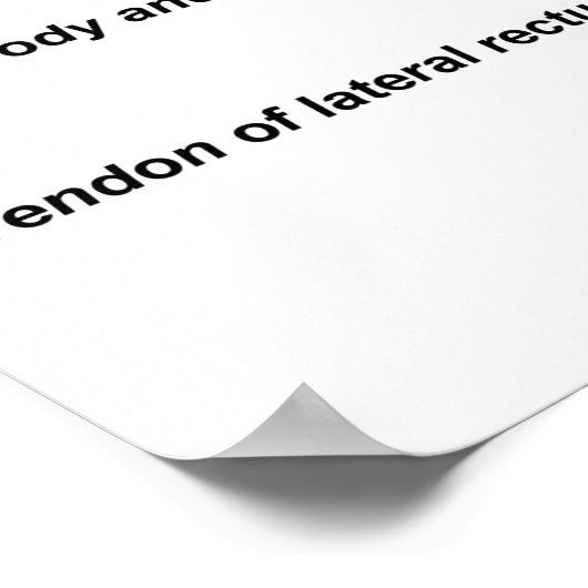 人間の目 ポスター (角)