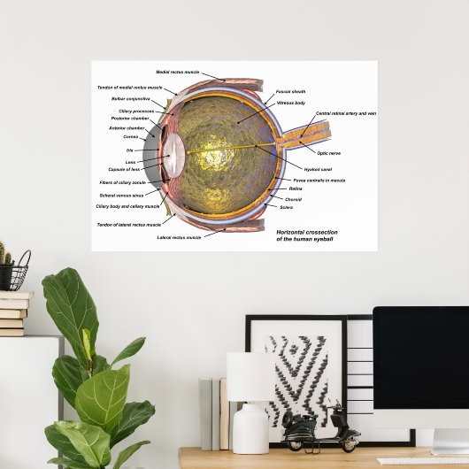 人間の目 ポスター (ホームオフィス)