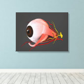 人間の眼の解剖学的概念像5 キャンバスプリント (インサイチュ (ウッドフロア))