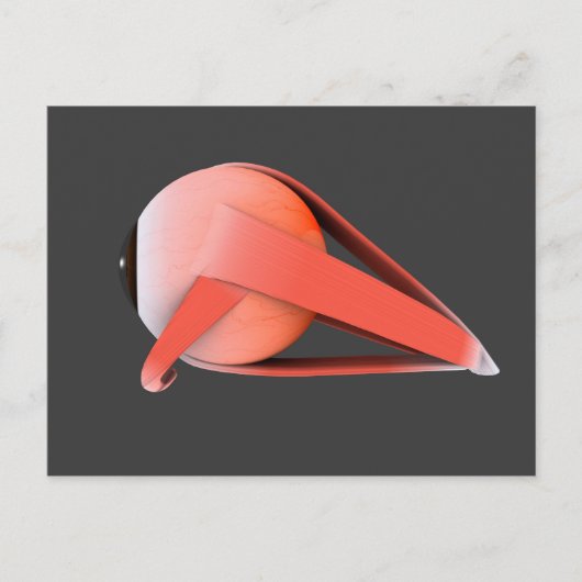 人間の眼の解剖学的概念像7 ポストカード (正面)