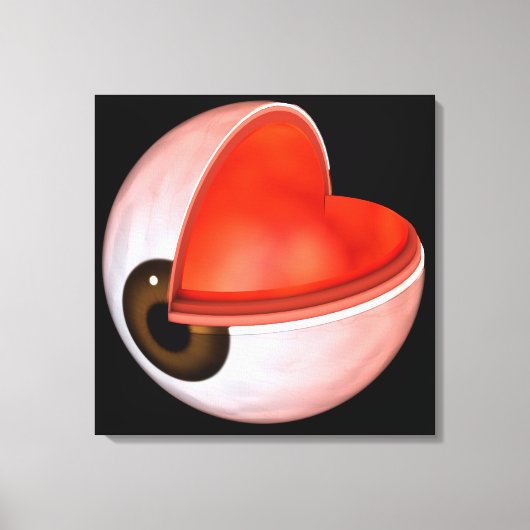 人間の眼の解剖学的概念図8 キャンバスプリント (正面)