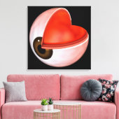 人間の眼の解剖学的概念図8 キャンバスプリント (インサイチュ (リビング))