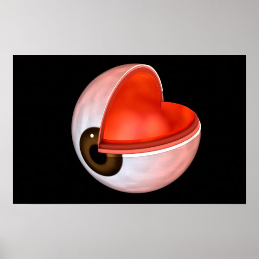 人間の眼の解剖学的概念図8 ポスター (正面)