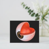 人間の眼の解剖学的概念図8 ポストカード (スタンド正面)