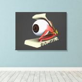 人間の眼解剖学の概念像6 キャンバスプリント (インサイチュ (ウッドフロア))