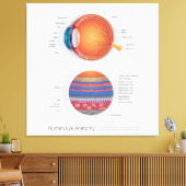 人間の眼解剖学 キャンバスプリント (インサイチュ (リビング))